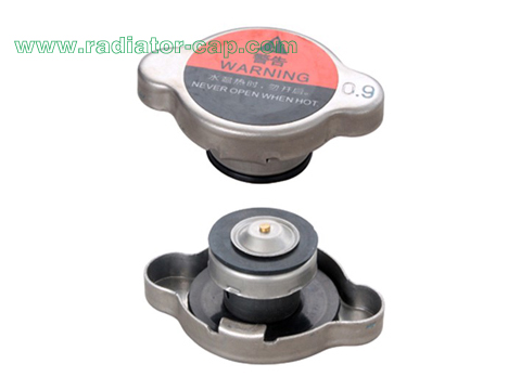 JX-V6021G Ford Fiesta Coolant Cap